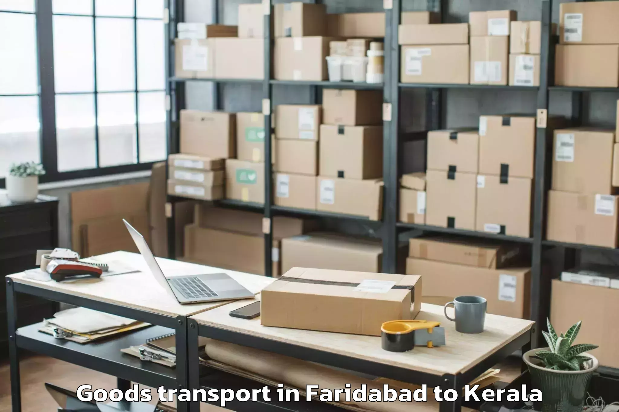 Professional Faridabad to Shoranur Goods Transport